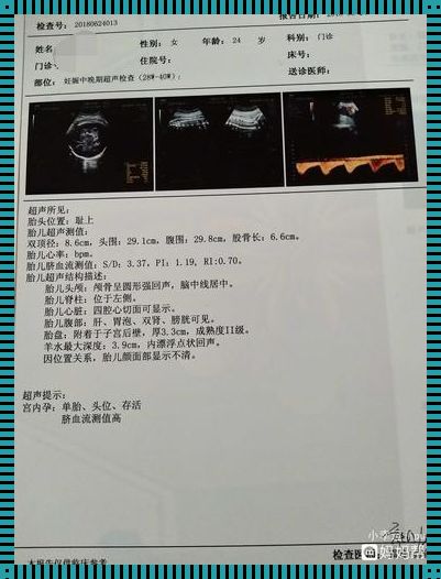 孕期羊水揭秘：孕12周羊水多少算正常？