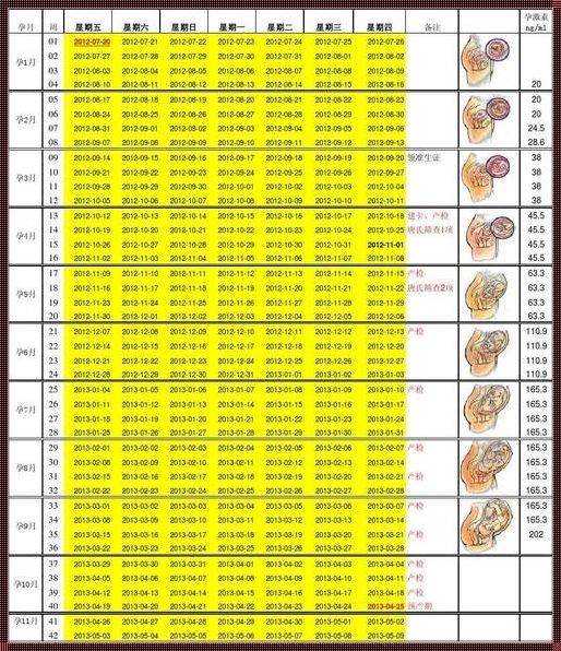 孕期羊水深度：1-40周的胎儿成长奥秘