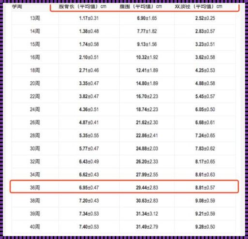 35周胎儿发育标准对照表图：怀孕途中的惊喜