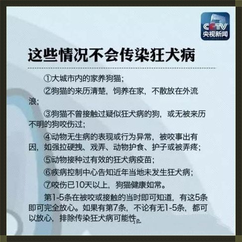 央视辟谣狂犬病潜伏期，快速了解真相