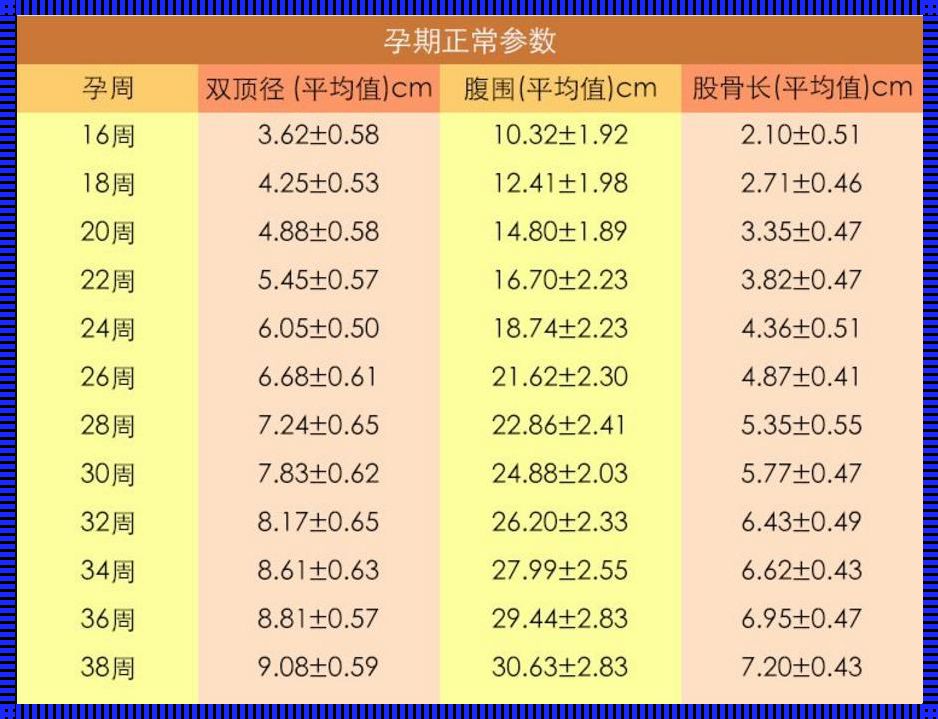 胎儿体重计算：育儿小秘诀，分享喜悦与关怀