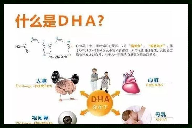 孕期DHA补充：何时开始，何时结束？