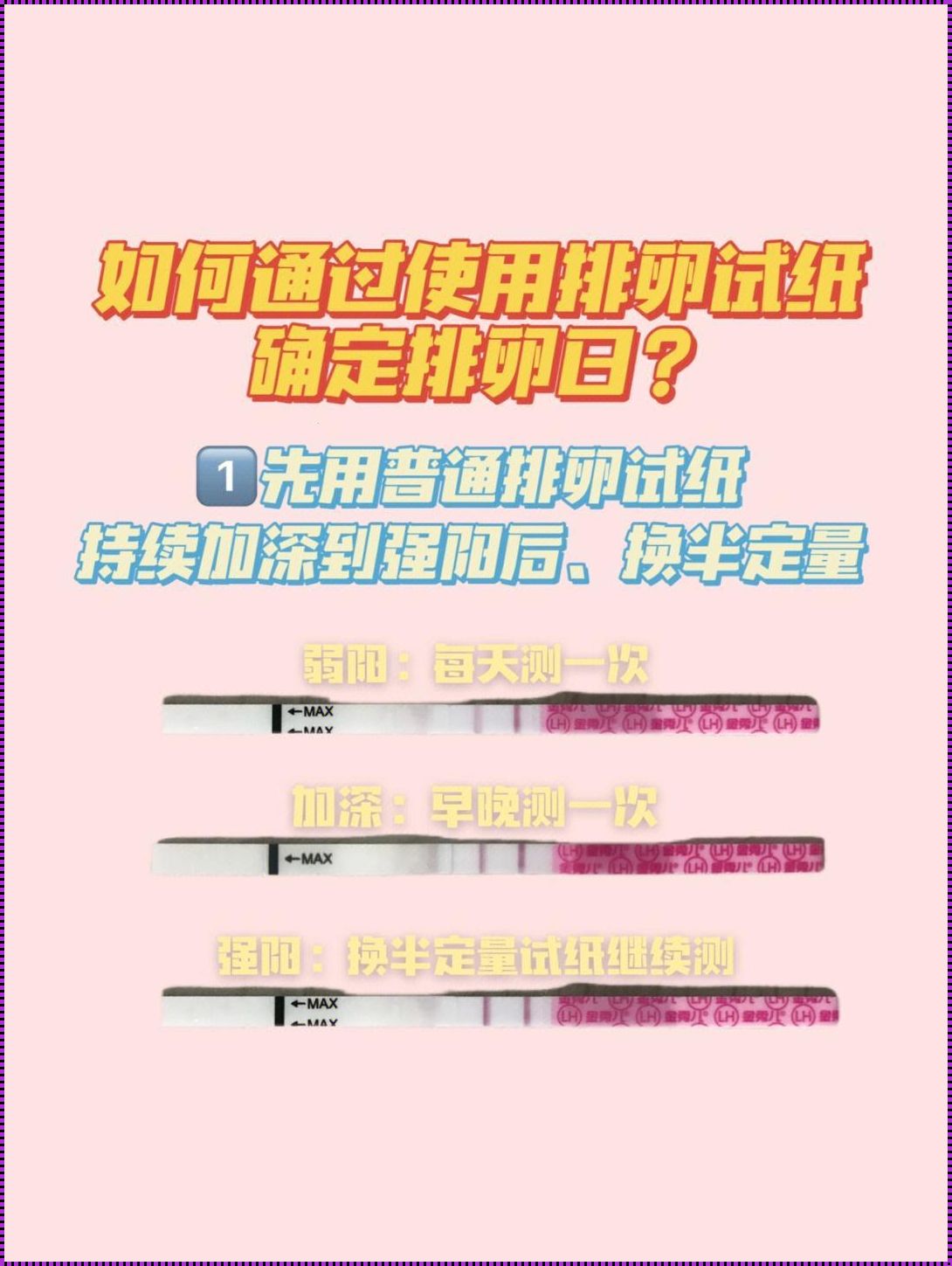 排卵试纸月经第几天开始测？备孕路上的“指南针”