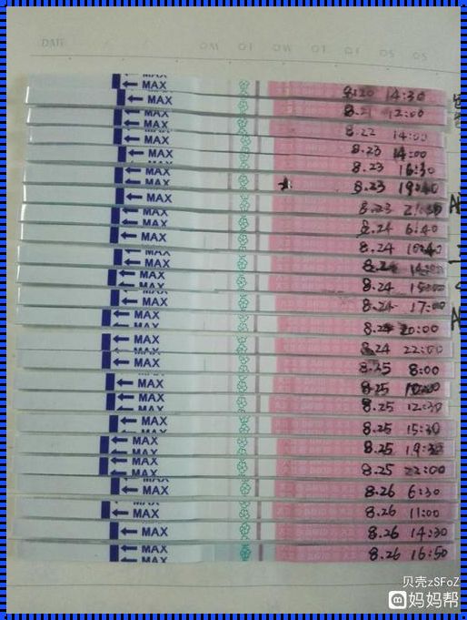 备孕路上的“惊现”：如何看排卵试纸结果