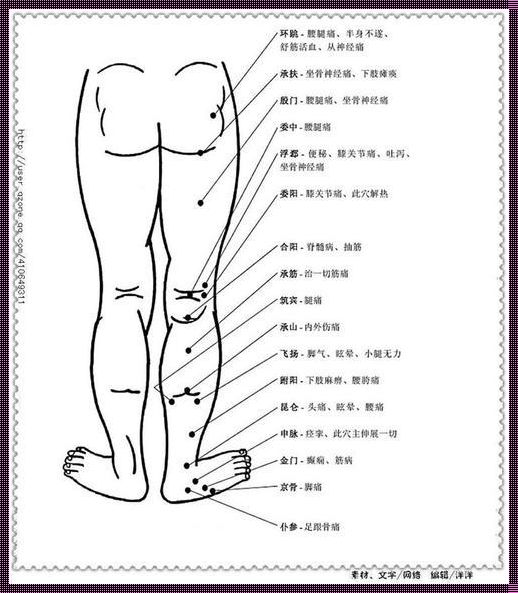 屁股疼痛部位对照表惊现，为你揭示未知奥秘