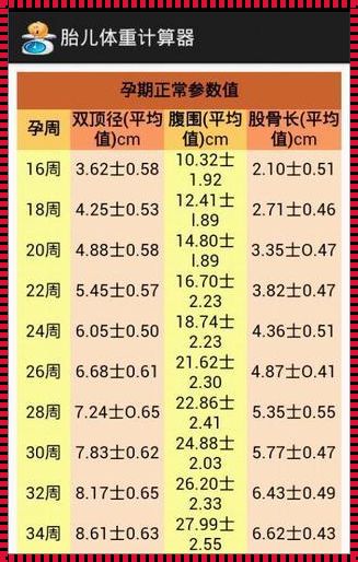 胎儿大小与孕周计算器：助您精准掌握孕期关键数据