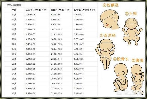 胎儿3100g体重，几斤“称”心如意？