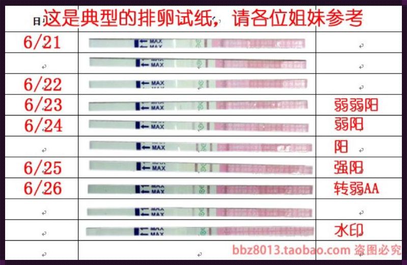 排卵试纸最佳检测时间揭秘：精准捕捉生育黄金期