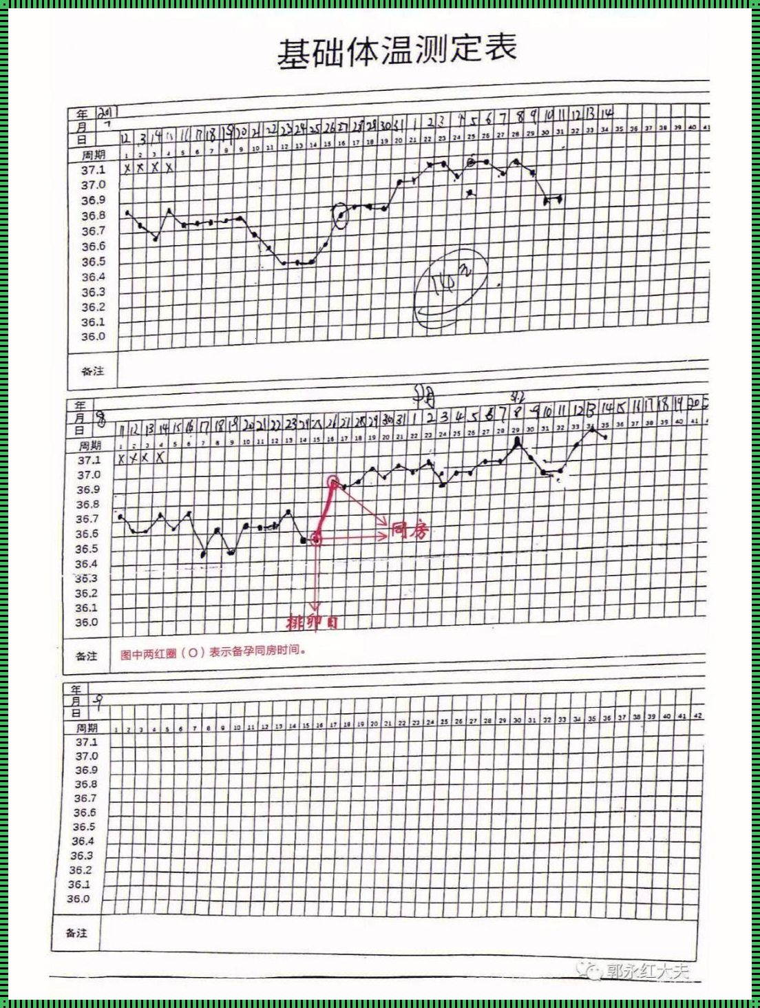 解密正常排卵基础体温图：备孕女性的贴心“助手”