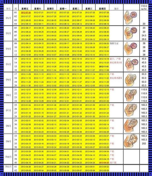 孕期育儿宝典：胎儿大小计算公式表揭秘