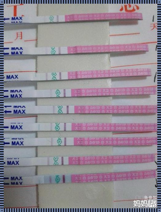 备孕路上，排卵试纸的正确使用时间你掌握了吗？