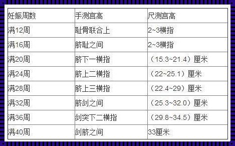 产后宫底高度对照表惊现网络，妈妈们追捧不已