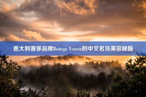 意大利奢侈品牌Bottega Veneta的中文名及美容秘籍