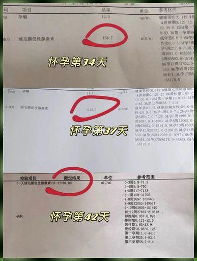 流产后HCG下降最快方法：产后调养新篇章