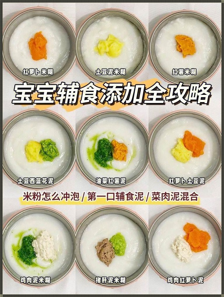 宝宝餐食谱大全及做法大全：解锁美味与营养的完美结合