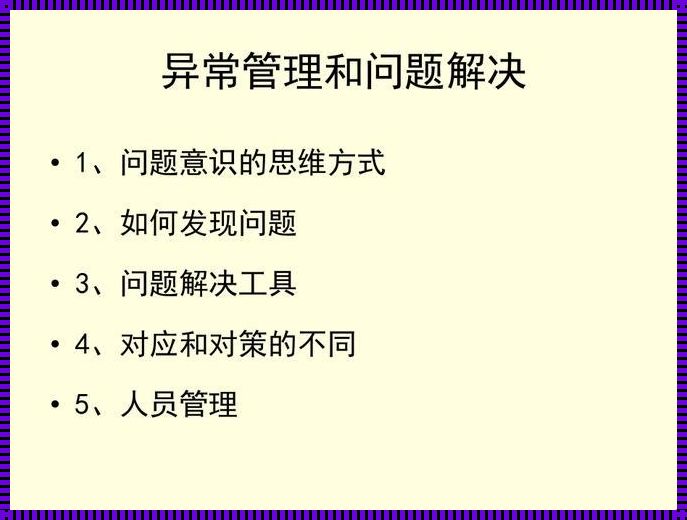 工作中的问题解决之道：思路与方法的精髓