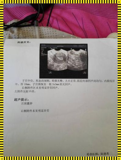 子宫纳囊之孕途艰辛：探寻孕育生命的奥秘