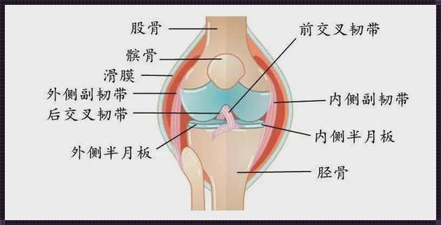 产后膝关节酸软揭秘：意外的困扰，有解吗？