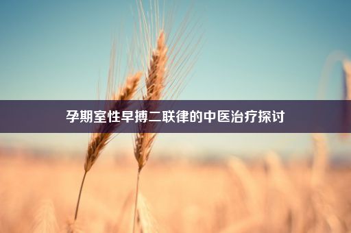 孕期室性早搏二联律的中医治疗探讨