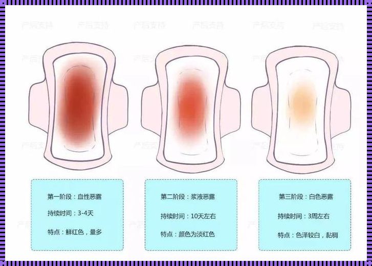 产后修复后恶露再现：探讨技术与身体的关系