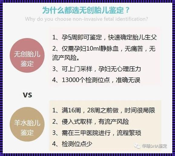 怀孕多久可以做亲子鉴定——探寻孕育生命的奥秘与责任