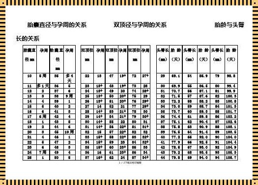 头臀长83mm是多少周？