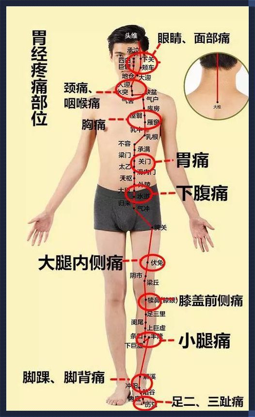 女性右侧疼痛对照表：揭示身体奥秘与关爱自我