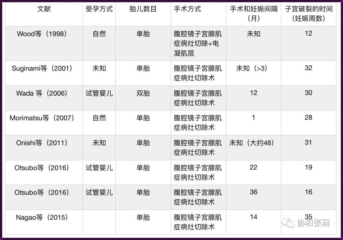 试管双胞胎婴儿费用大揭秘