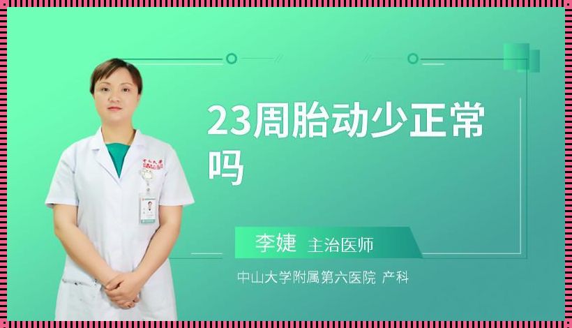 孕23周胎动持续半小时——与生命的亲密接触