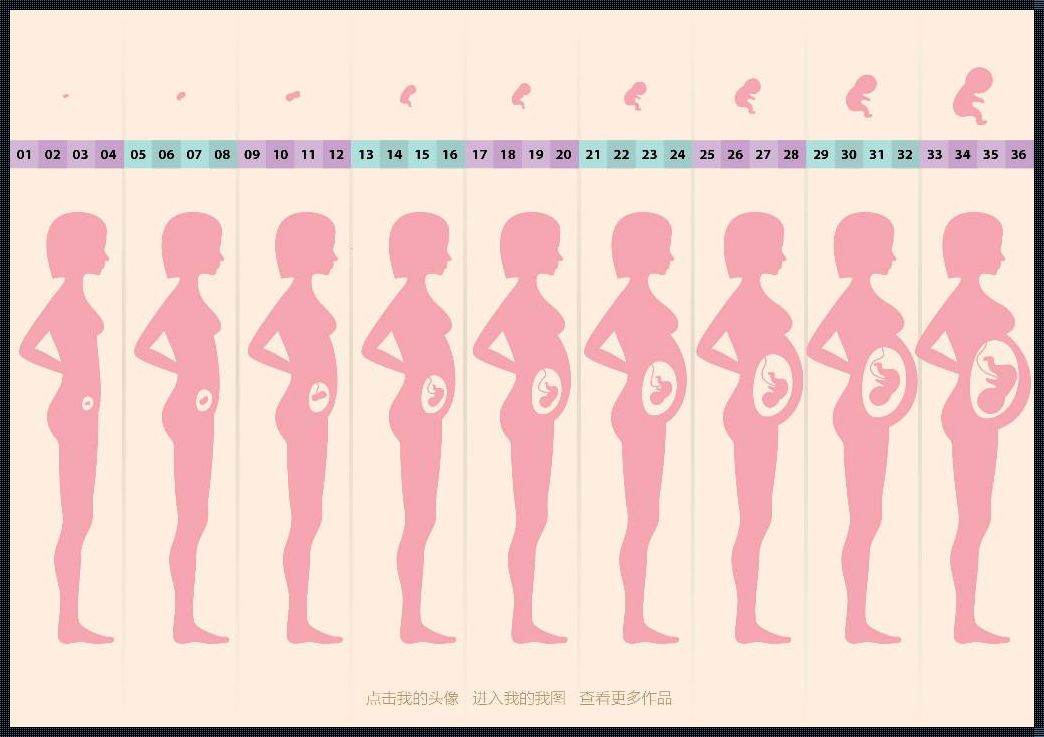 《孕程三十周：细数孕育生命的奇迹》