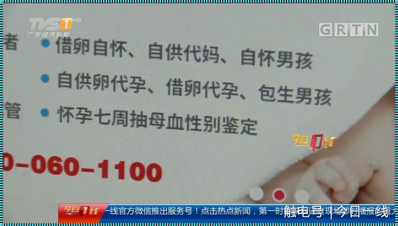 揭秘捐卵背后的真相：数万酬金是否属实？