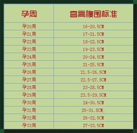 探讨怀孕宫高与孩子大小关系的实际意义