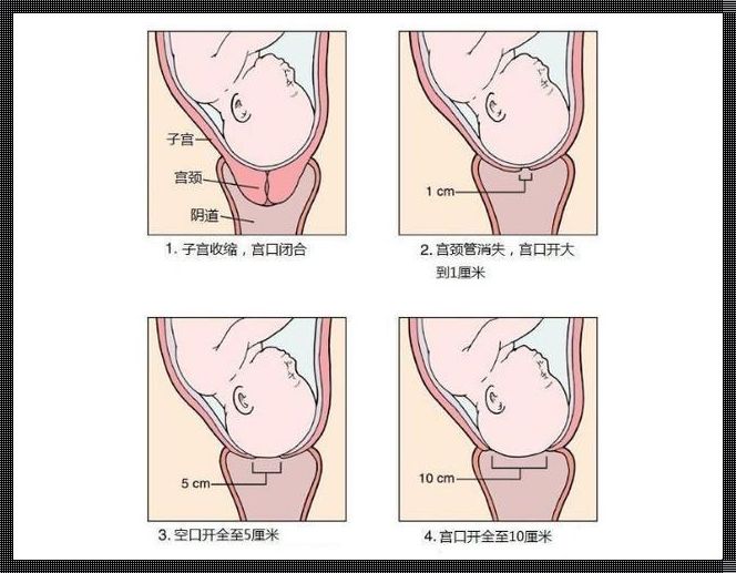 产后合骨缝按摩视频：揭秘产后恢复的惊人秘密