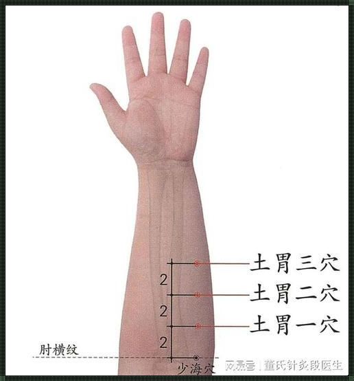 健脾胃针灸扎哪里？最新研究揭示有效穴位