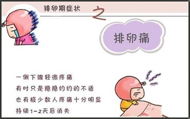 排卵期的征兆——备孕路上的重要信号