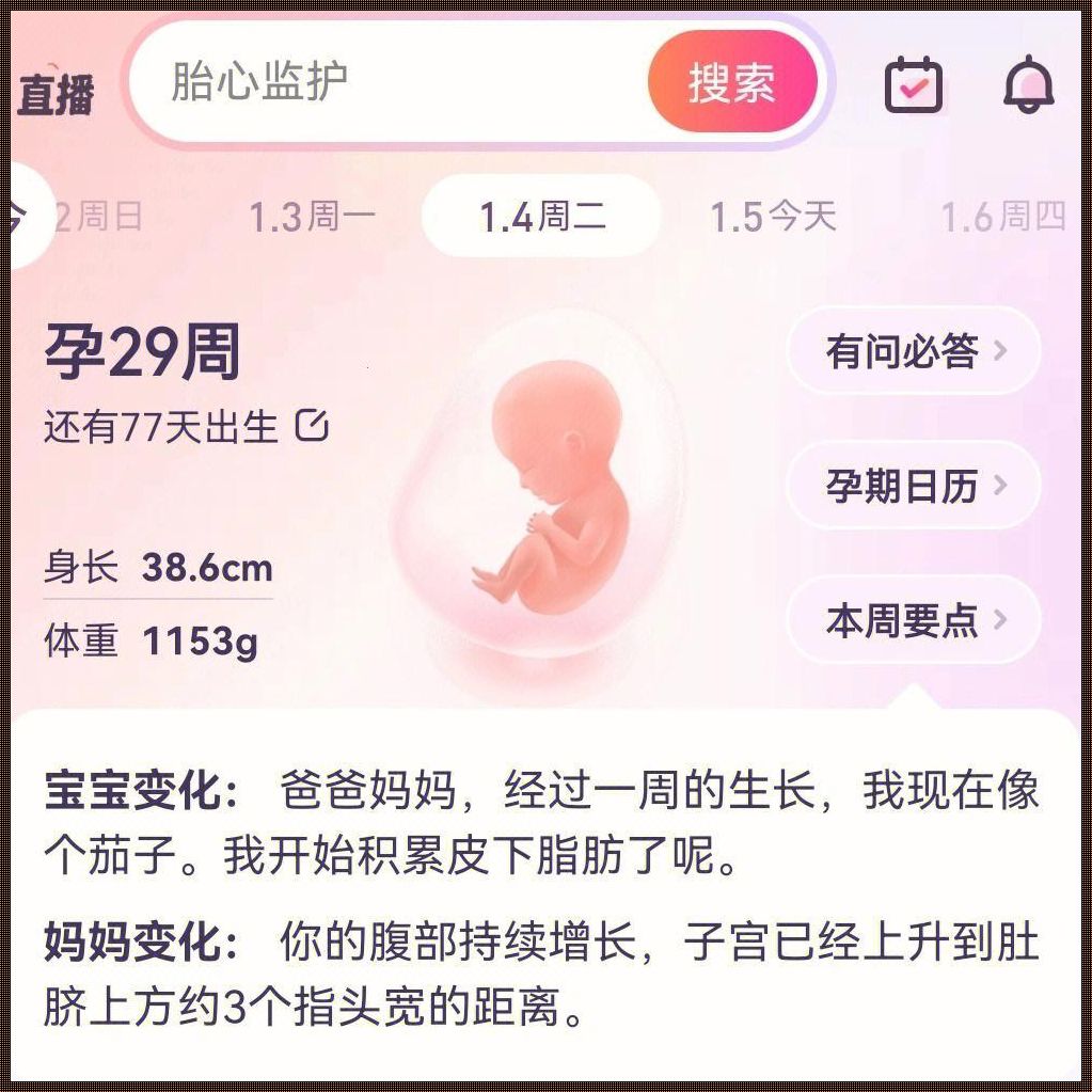 《孕29周：一个母亲的疑虑》