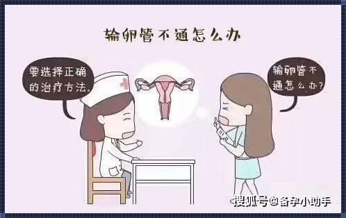 输卵管堵塞最快的恢复方法：科技助力下的备孕之路