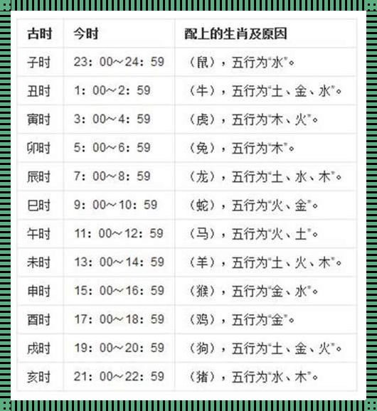 时间分钟代表的生肖——探索时间的奥秘与生肖的关联