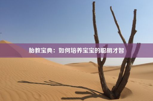 胎教宝典：如何培养宝宝的聪明才智