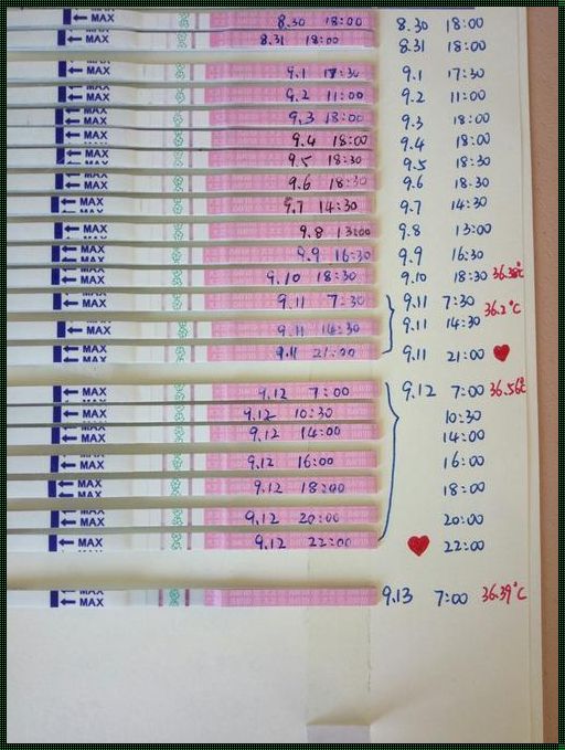 《排卵试纸检测阴性：备孕路上的迷雾》