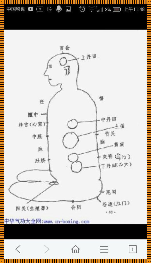 《上中下三丹田位置图解》——探索人体能量中心的奥秘