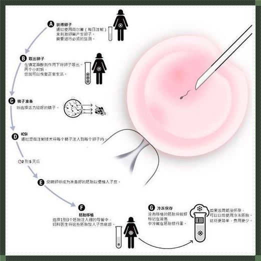 《试管婴儿取卵时的痛苦：一场人类科技与自然法则的较量》