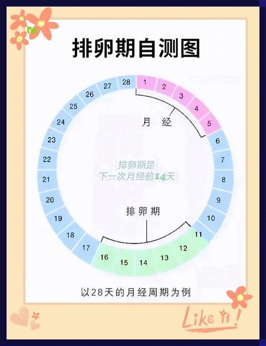 女生排卵日的特征及备孕注意事项——深入探讨与科学辟谣