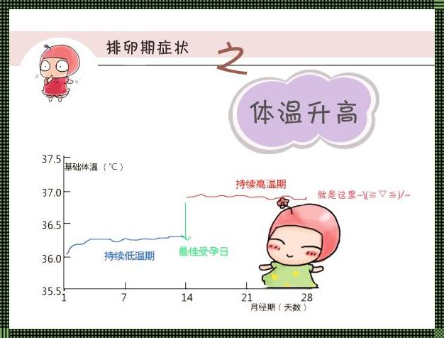 《排卵的信号——备孕路上的重要里程碑》