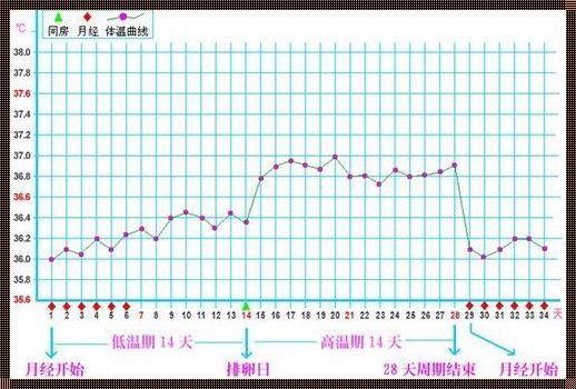 《卵子排出后，体温真的马上会下降吗？》