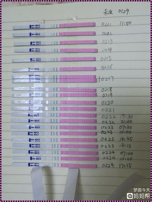 排卵试纸的使用频率及备孕支持策略