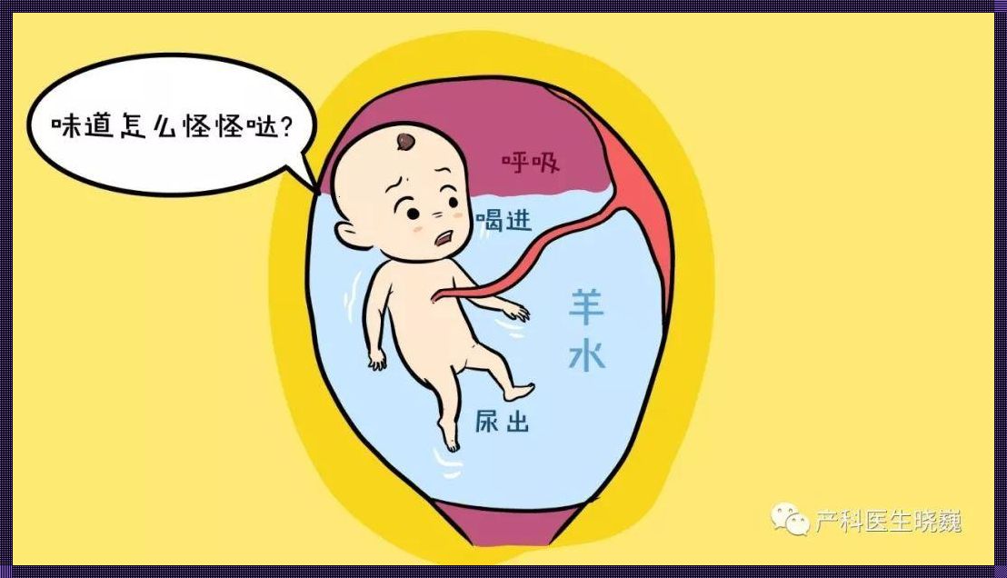 28周羊水过多怎么办？孕妈亲历记