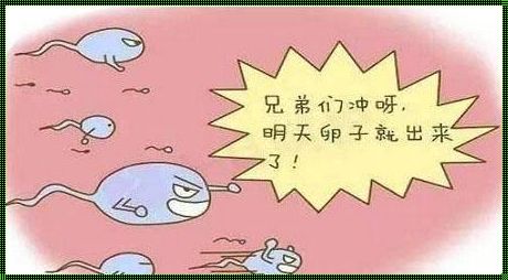  追寻孕育希望：揭开不排卵之谜