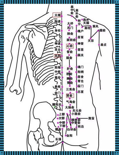 探索督脉的神秘力量：揭示人体健康之钥