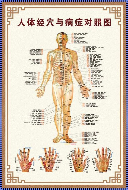 揭秘人体十二条经络：探索健康的奥秘